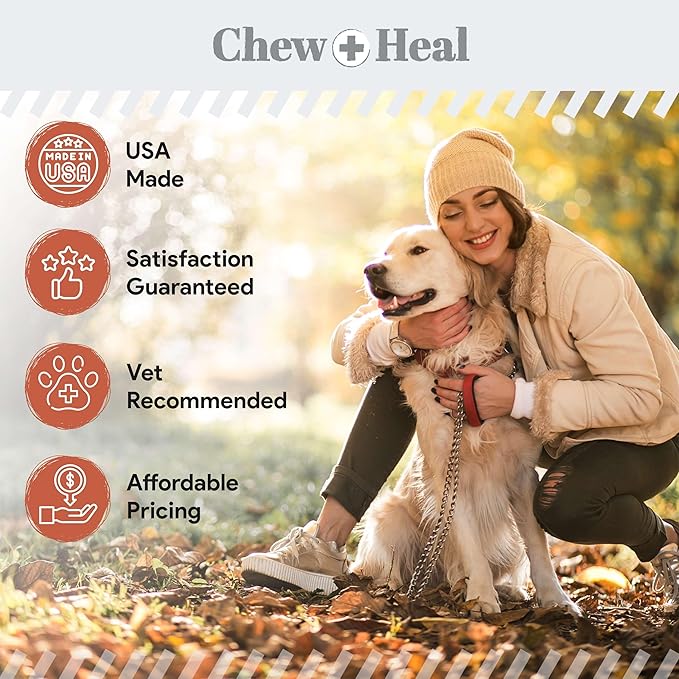 Fish Oil Omega 3 Supplements for Dogs -360 Soft Chew Treats for Skin and Coat -Salmon Oil Blend of Fatty Acids, Omega 3, 6, Vitamins, Antioxidants -Made in USA (2 Packs of 180, Salmon Flavor)-PawvioPets