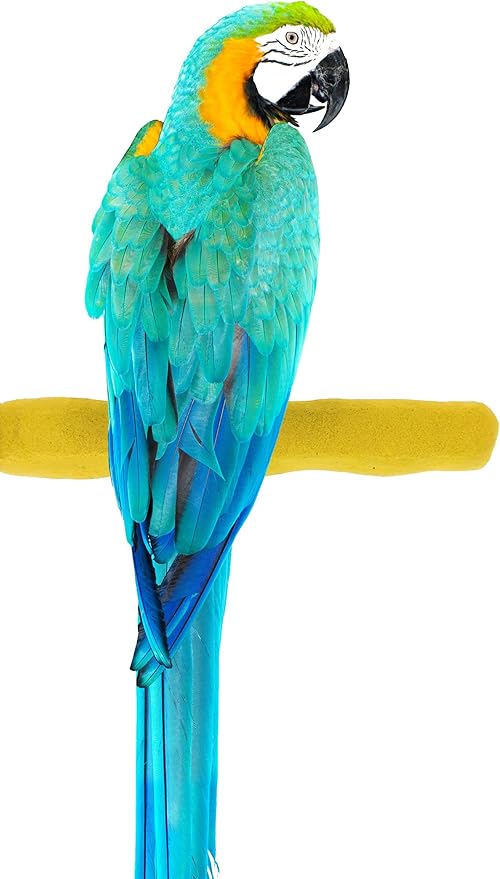 Comfort Grip Safety Perch for Bird Cages - Pedicure Perch for Birds to Keep Nails and Beaks in Top Condition - Safe Easy to Install Bird Cage Accessories- L 13"-PawvioPets