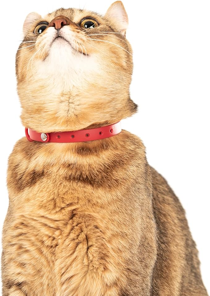 Cat Collar 2 Pack - Soft, Comfortable, and Lightweight Safety Breakaway Collar with Name Tag Ring for Outdoor Cats and Sensitive Skin Kittens by Nuvuq (6 ⅞" to 10 ¼", Red)-PawvioPets