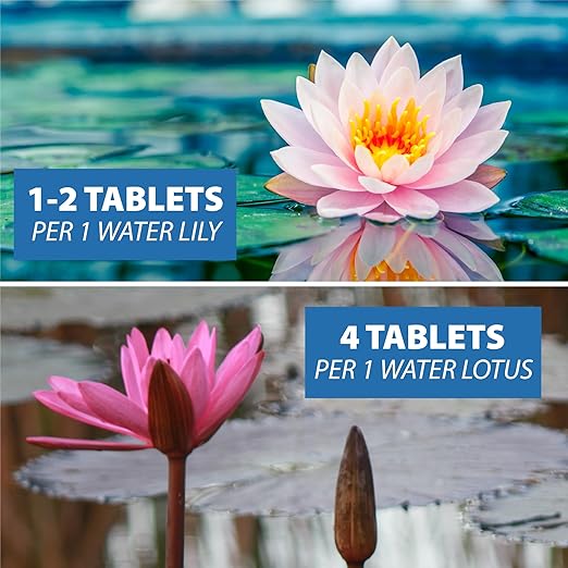 CrystalClear Thrive Aquatic Pond Plant Food, Fish Safe Water Garden Fertilizer, Nutrients Boost Lily & Lotus Flower Bloom & Root Growth, 30 Tablets-PawvioPets
