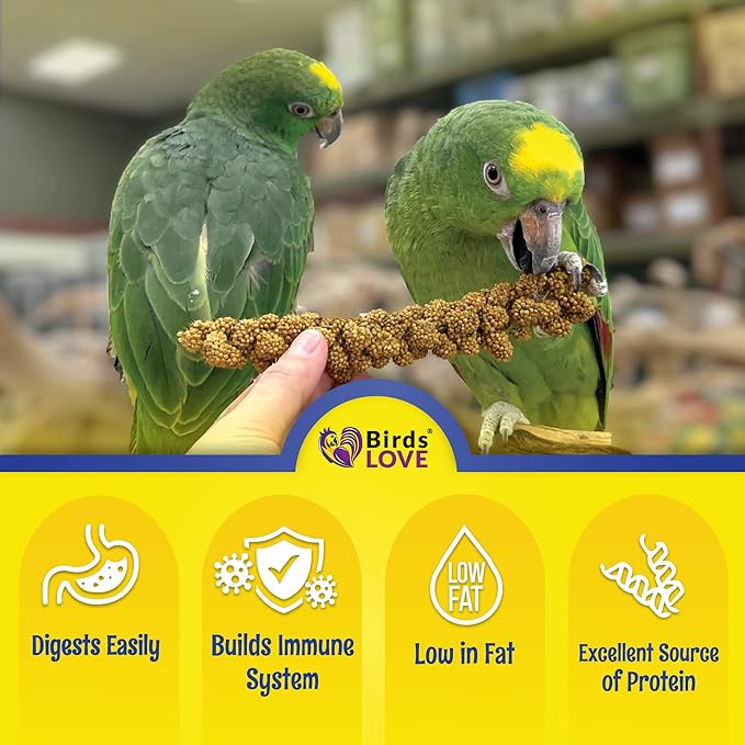Birds LOVE Spray Millet – 9 oz GMO-Free, No Stems (Only Edible Tops) – Healthy Treat for Parakeets, Cockatiels, Finches, Canaries & Lovebirds-PawvioPets