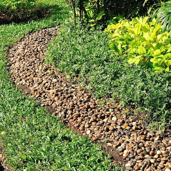 10lbs Aquarium Rocks, 5/8" Natural River Rocks for Plants Decorative Polished Mixed Pebbles for Fish Tank, Landscaping, Gardening, Flower Pots, Vase Fillers, Indoor Water Fountains-PawvioPets