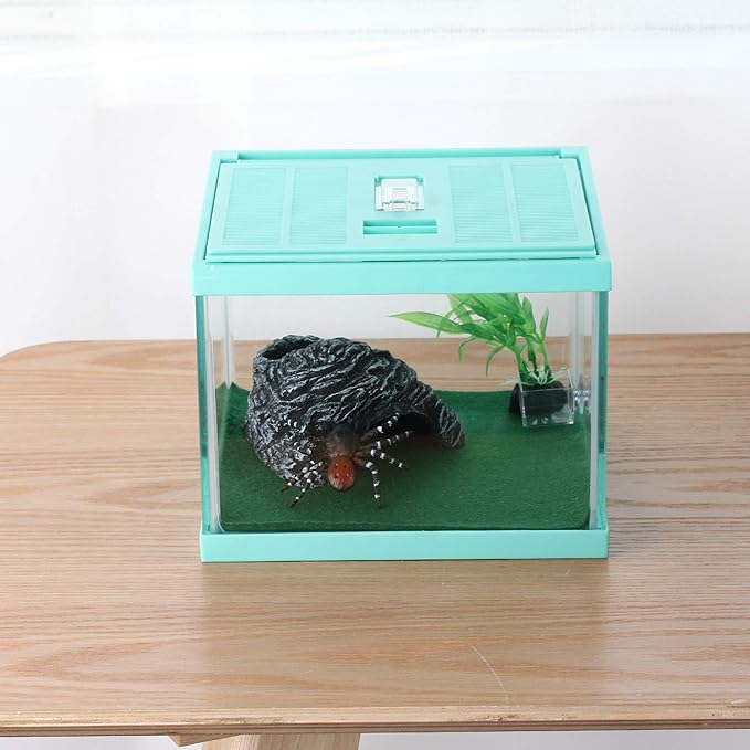 crapelles Reptile Terrarium Tank, Snail Jumping Spider Enclosure, Tarantula Insect Pet Box, Vivarium Tank for Hermit Crab Cricket Gecko Frog, Small Tortoise Habitat Cage (7.8x7.8x5.9 Inches) Green-PawvioPets