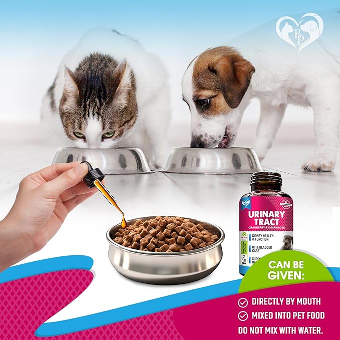 Beloved Pets Cat & Dog Urinary Tract Infection Treatment & Natural UTI Medicine Cranberry-Kidney+Bladder Support Supplement - Best Prevention Incontinence, Bladder Stones-PawvioPets