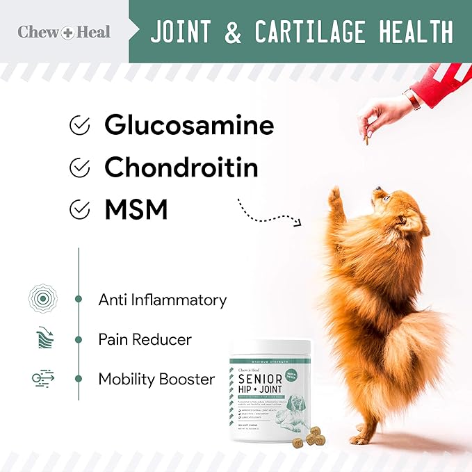Glucosamine for Dogs Hip and Joint Supplement - 120 Soft Chews for Senior Dogs with Glucosamine, Chondroitin, MSM, Vitamin C, and Omegas - for Mobility, Cartilage, and Joint Health-PawvioPets