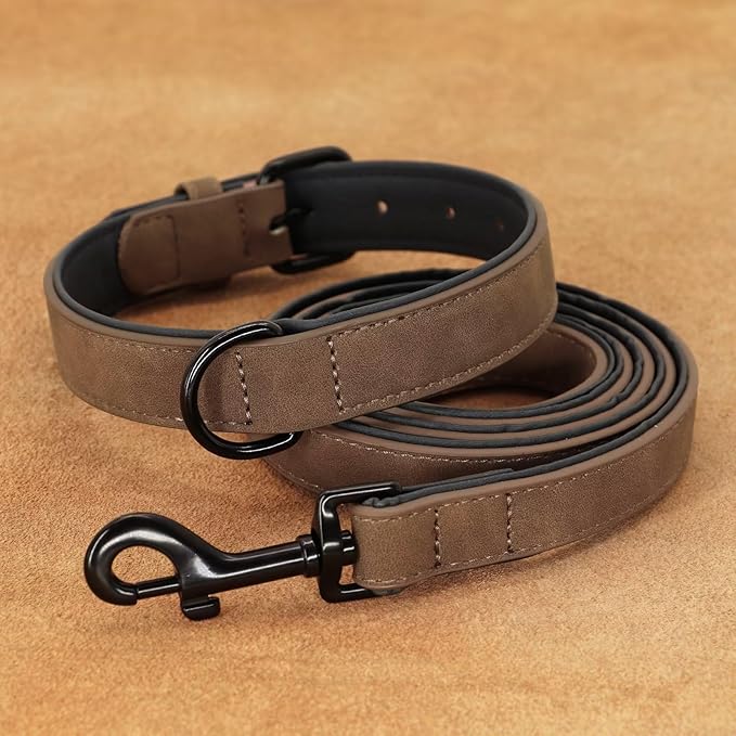 Didog Soft Padded Leather Dog Collar and Leash Set, Adjustable Dog Leash and Collar Set with Metal Buckle, Breathable Dog Collars with 4FT Leather Dog Leash for Small Medium Large Dogs, Brown, M-PawvioPets