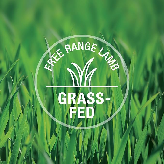 Feline Natural New Zealand Canned Catfood Wet Food, High-Meat, Low-Carb, & Grain Free Cat Food Wet, Lamb Feast, 3 oz, Pack of 24-PawvioPets