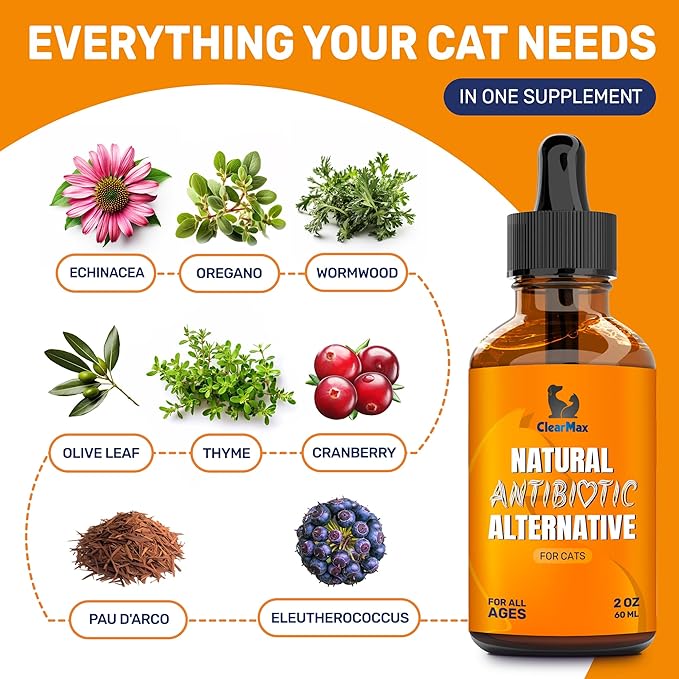 Cat Antibiotic to Help with Cough & Allergies – Antibiotics for Cats to Aid with UTIs and Digestive Moments – HIPS & Joints Support – Attractive Chicken Taste – 2 Oz Bottle-PawvioPets