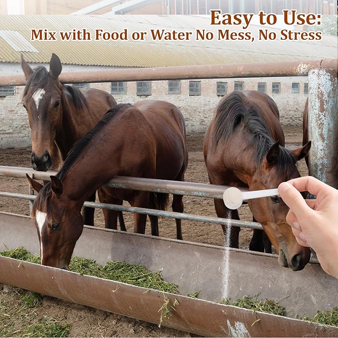 Probiotics for Horses Dietary Supplement, All-Natural Digestive System Maintenance Formula Equine Digestion Support Horse Health Supplements (90 Days)-PawvioPets