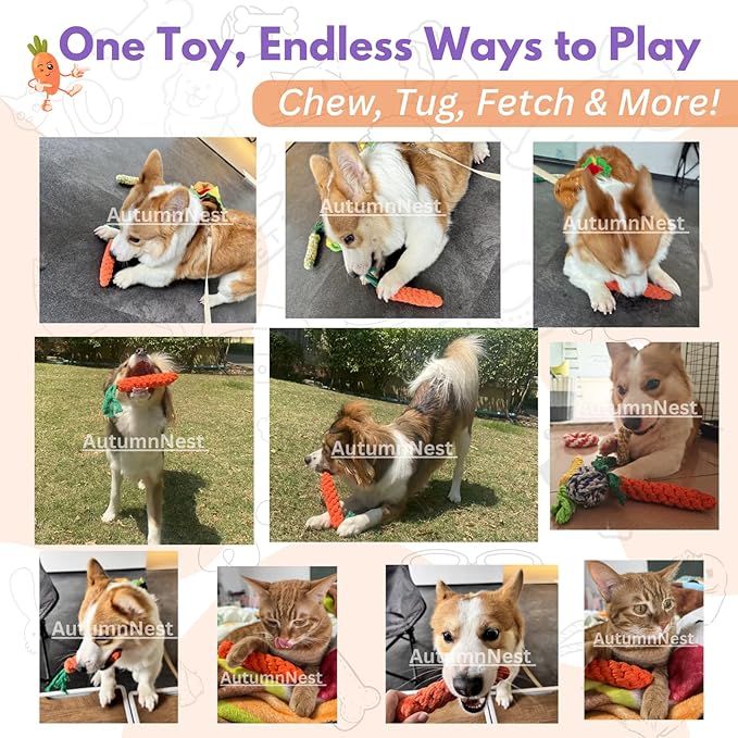 3PCS Orange Woven Pet Chew Set, Puppy Teething Chews, Dog Chew Treats, Cat Teething Playset, Safe Braided Chews for Pets, Durable & Interactive-PawvioPets