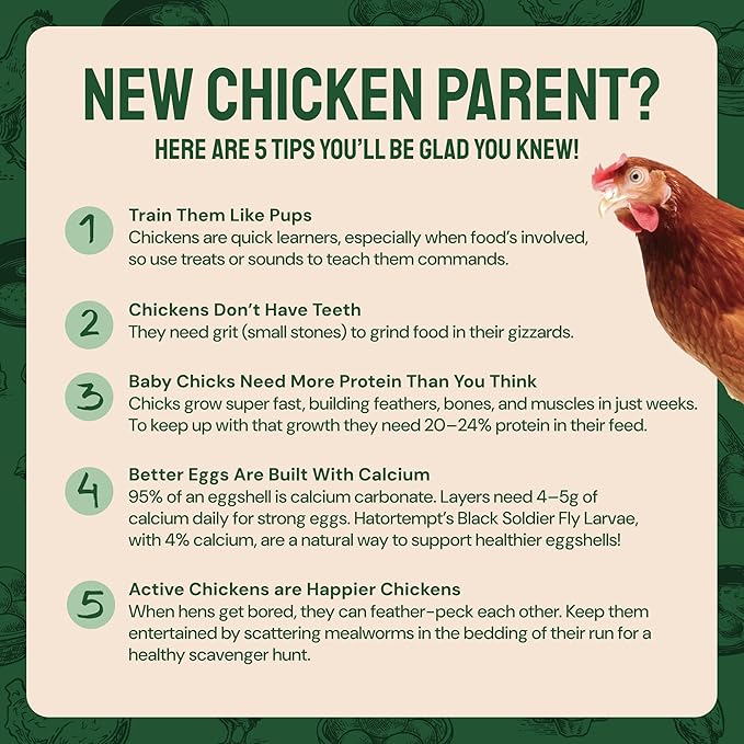 Bulk Dried Mealworms - 10 Lb Bag - Non-GMO Dried Mealworms for Chickens, Ducks & Wild Birds - High-Protein Chicken Feed & Bird Food-PawvioPets