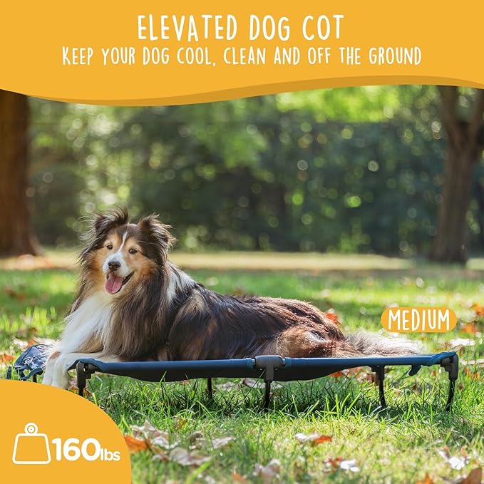 Daisy Cot, Medium Foldable Elevated Dog Bed, Portable Raised Outdoor Folding Dog Cot, Cooling, Chew Proof, Waterproof, Heavy Duty Up to 160 Lbs for Camping/Home, Dark Blue, 32"x 19"x6"-PawvioPets