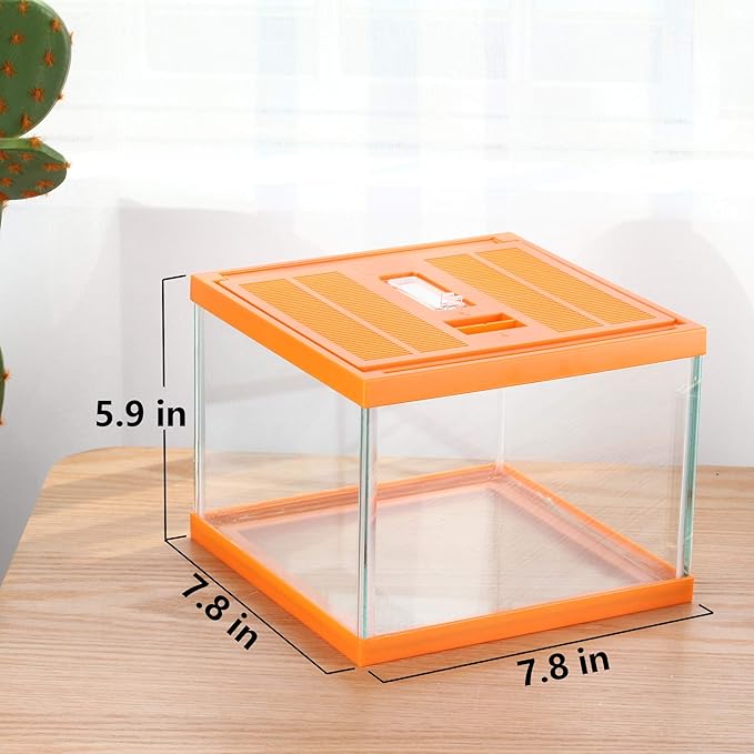 crapelles Reptile Terrarium kit Color Orange Spider Container Tarantula Box cage Gecko Habitat Insect Enclosure pet Tank Frog Carrier Tortoise Snail Container Hermit Crab House Cricket breeding-PawvioPets