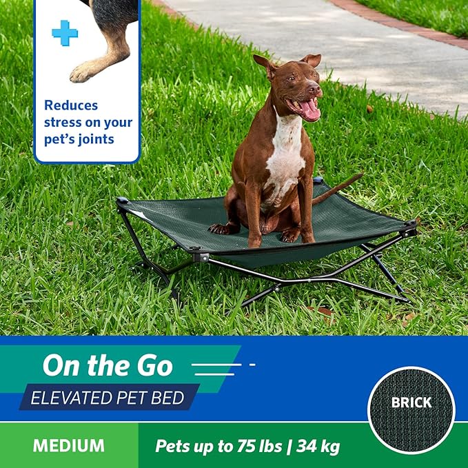 Coolaroo On-The-Go Elevated Dog Bed - Foldable Pop-Up Travel Dog Bed with Breathable, Moisture-Resistant Fabric, Carry Bag Included, Lightweight & Portable, Brunswick Green, Medium-PawvioPets