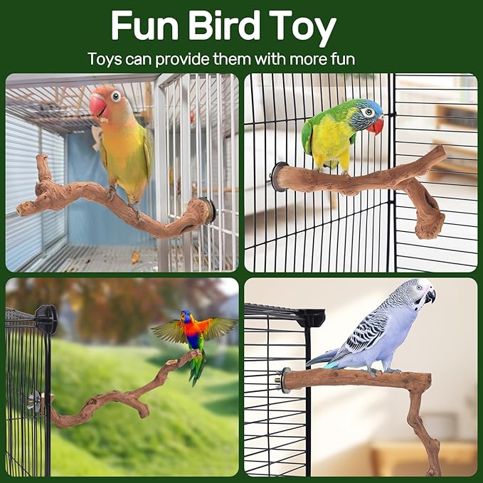 6-Piece Premium Bird Perch Stand with Natural Grape Wood Branch, Paw Grinding Fork, Chewing Stick, Cage Accessories for Parakeets, Budgies, Cockatiels, Finches, Lovebirds-PawvioPets