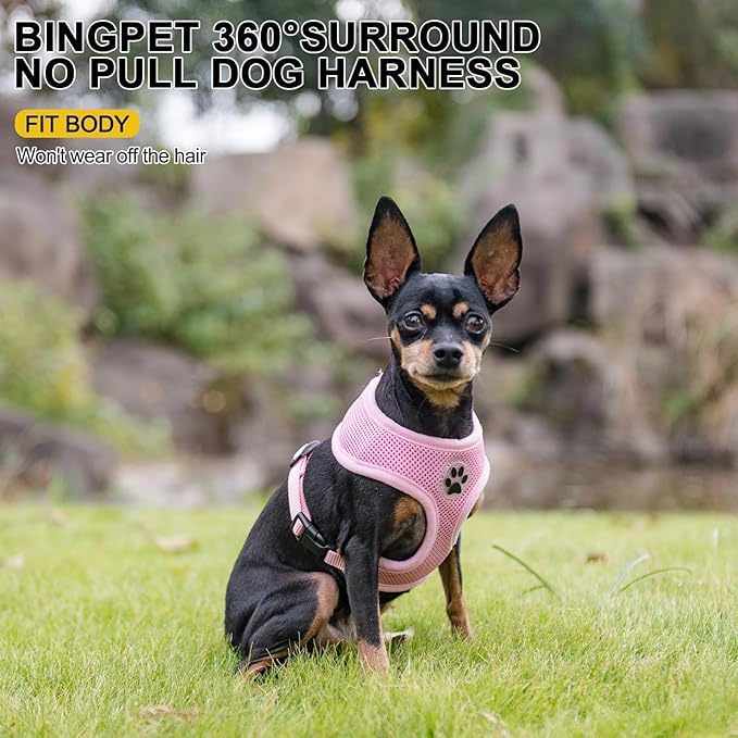 BINGPET Small Dog Harness - Breathable Mesh Puppy Cat Harnesses - No Pull Adjustable Dog Harness Dog Vest Harness for Small and Medium Dogs-PawvioPets
