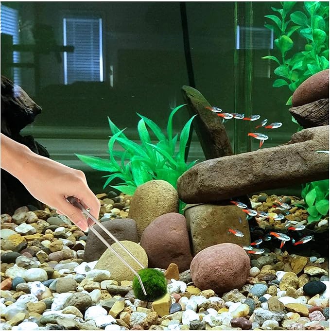 3 in 1 Aquarium Aquascape Tools Kit Long Stainless Steel Aquarium Tank Aquatic Plant Tweezers Scissors Tools-PawvioPets