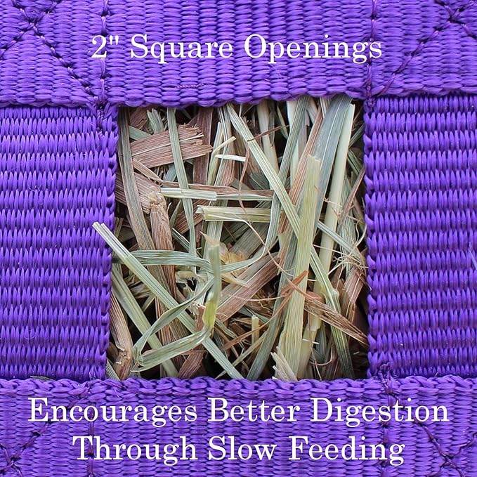 Derby Originals Superior Slow Feeder Horse Hay Bag with Super Tough Bottom and 1 Year Warranty-PawvioPets