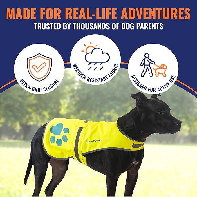 Dog Reflective Vest – Hi-Vis Fluorescent Visibility That Helps to Safeguard Your Pet On/Off Leash in Urban & Rural Areas (Yellow, X-Large)-PawvioPets
