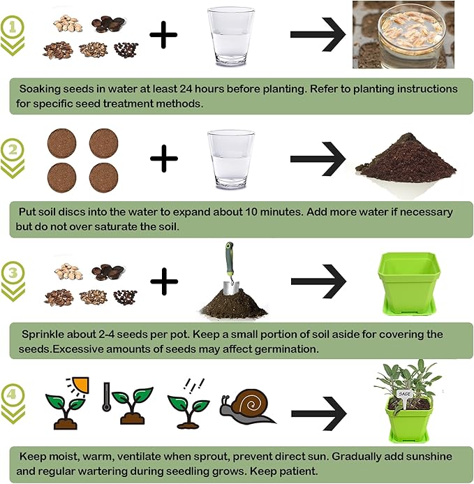 10 Herb Seeds Garden Starter Grow Kit with Green Pots, Markers, Nutritional Soil, Watering, Herb Clipper, Complete Indoor Potted Plant Growing Set for Kitchen DIY-PawvioPets