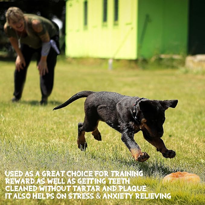 ASMPET Dog Treats Chews, Chicken Wrapped Rawhide Donuts Dental Care Chews for Small Medium Large Breed Aggressive Chewers (Pack of 4)-PawvioPets