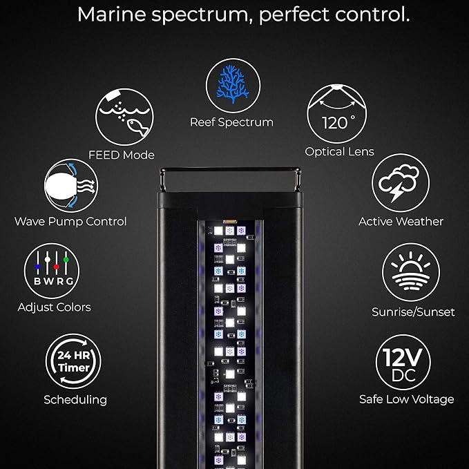 CURRENT USA 48 - 60" Inch Orbit Marine LED Saltwater Reef Marine Aquarium Light | 24 Hour IR Lighting & eFlux Wave Pump Control | Adjustable Color Spectrum for Fish Tank (4103)-PawvioPets