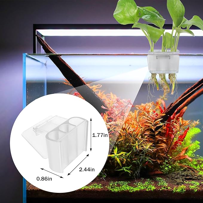 3 Holes Upgraded Aquatic Plant Cup Aquarium Plant Holder for Tank,Hanging Aquarium Plant Holder,Aquarium Aquatic Plant Cultivation,Aquarium Plant Decoration. (White 2PCS)-PawvioPets