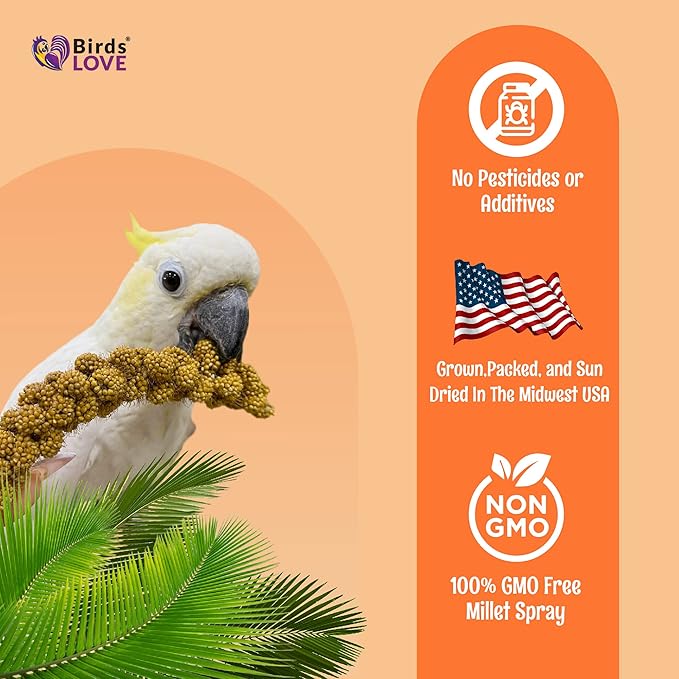 Birds LOVE Wholesome & Lovely Spray Millet Non-GMO for Birds Cockatiel Lovebird Parakeet Finch Canary All Parrots Healthy Treat - 2LBS-PawvioPets