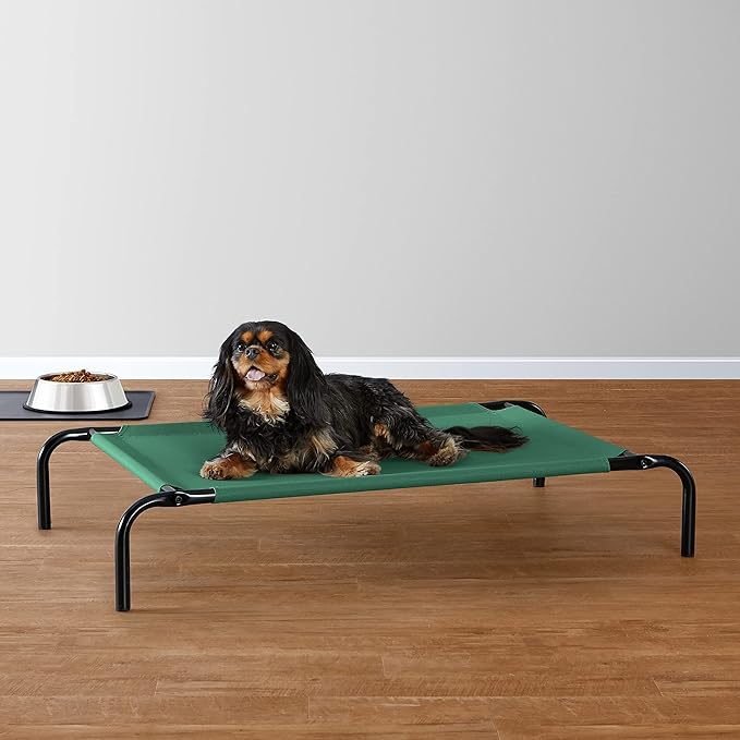 Amazon Basics Cooling Breathable Elevated Dog Bed with Metal Frame for Small Dogs, 36 x 22 x 7.5 Inch, Green-PawvioPets