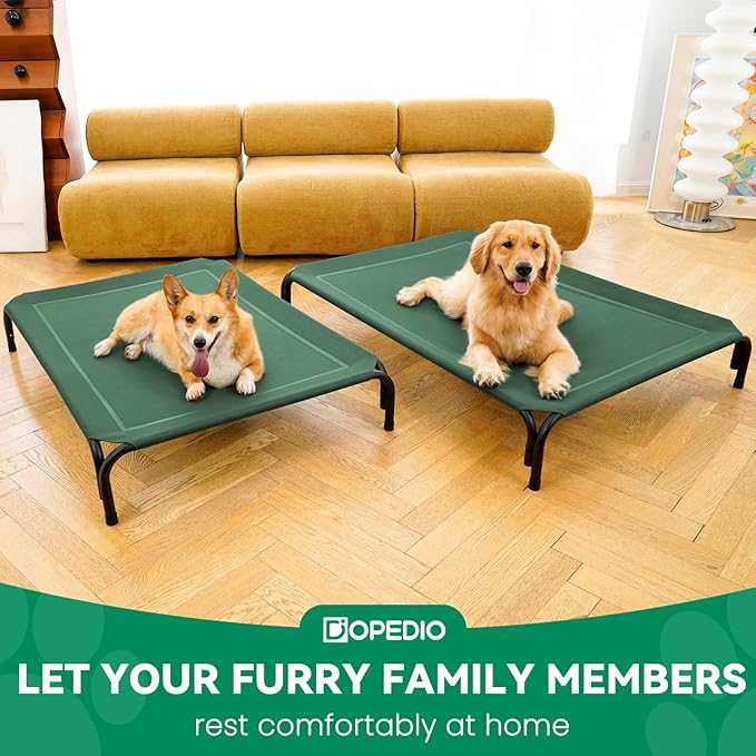 Elevated Dog Bed Raised Outdoor Dog Cot for Medium Dogs, Installation Requires No Tools, Frame with Washable Cooling Breathable Mesh Anti-Slip Feet, Indoor Pet Bed, Green, 35.4 Inches-PawvioPets