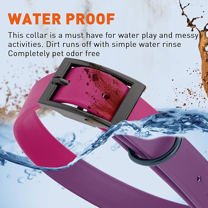 Dogline Biothane Waterproof Dog Collar Strong Coated Nylon Webbing with Black Hardware Odor- Proof for Easy Care Easy to Clean High Performance Fits Small Medium or Large Dogs, Magenta Pink-PawvioPets