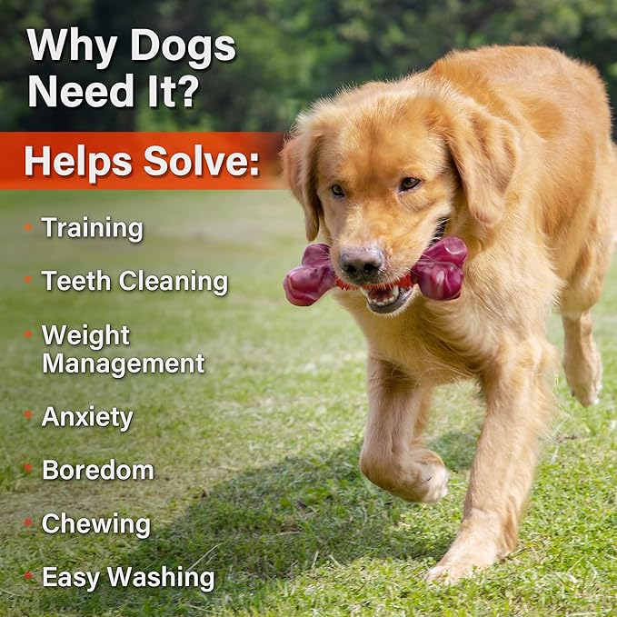 Apasiri Dog Toys for Aggressive Chewers Large Breed 2-Pack: Heavy Duty Chew Toys for Medium Dogs Indestructible Orange Dog Gift with Peanut Butter Flavor-PawvioPets