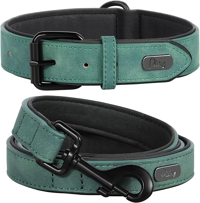Didog Soft Padded Leather Dog Collar and Leash Set, Adjustable Dog Lead and Collar Set with Metal Buckle, Breathable Pet Collars with 4FT PU Leather Leash for Small Medium Dogs, Green, M-PawvioPets