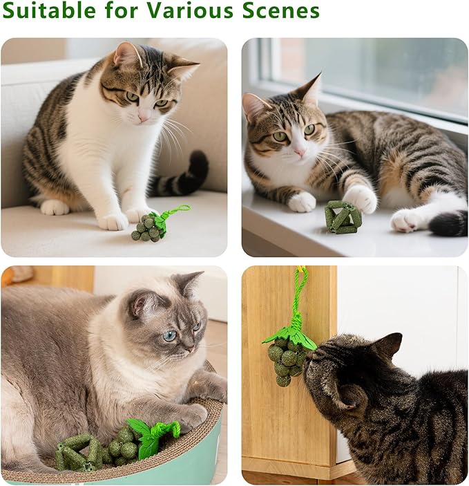 Cat Catnip Toys,2Pcs Catnip Ball for Cats,Toys for Indoor Cats,Cat Chew Exercise Toy for All Breeds and Species,Enhances Oral and Dental Health-PawvioPets