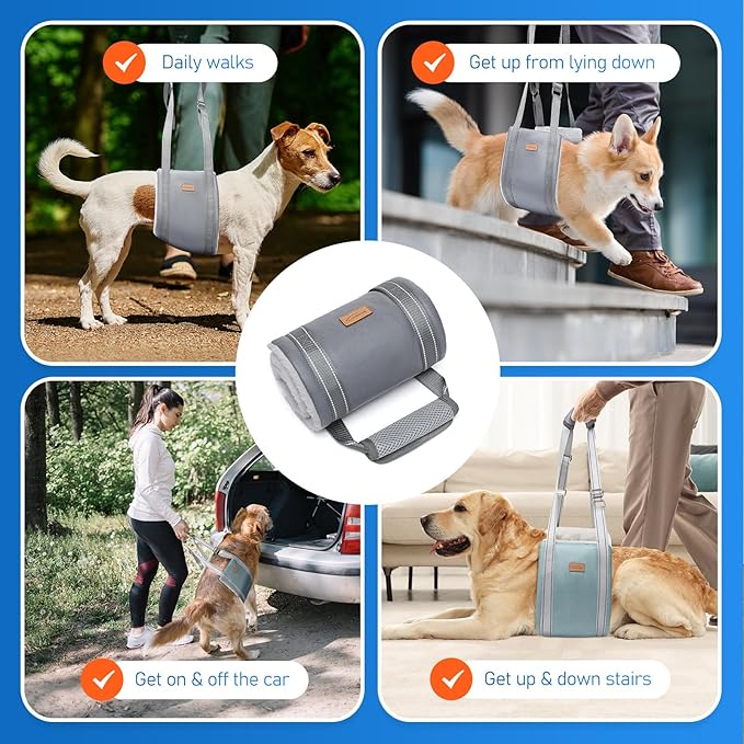 Dog Lift Harness for Large Dogs, Adjustable Dog Sling for Back Legs, Hip Support Harness to Help Lift Dogs Rear for Canine Aid and Old K9 Cruciate Ligament Rehabilitation - Large, Blue-PawvioPets