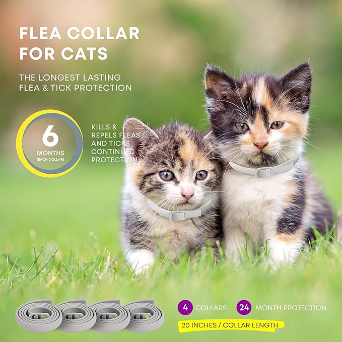 Flea and Tick Prevention Collars for Cats: Effective Pet Flea & Tick Treatment for Cats - Waterproof Adjustable Flea Tick Collars for Large & Small Cat, Outdoor Fleas Ticks Control for Kittens 4 Pack-PawvioPets