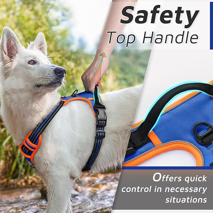 Eagloo Dog Harness for Large Dogs, No Pull Service Vest with Reflective Strips and Control Handle, Adjustable and Comfortable for Walking, No Choke Harness with 2 Metal Rings, Blue & Orange, M-PawvioPets