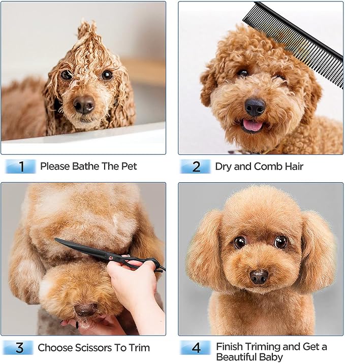 Gimars 7.0in Professional 4CR Stainless Steel Safety Round Tip 6 in 1 Dog Grooming Scissors Heavy Duty Titanium Coated Pet Grooming Scissor for Dogs, Cats and Other Animals-PawvioPets