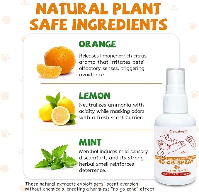 Dog Potty Spray Set, No-Go Spray & Potty Training Spray, Puppy Essentials, Stops Urination & Marking, Indoor and Outdoor Use (1.69 fl oz)-PawvioPets