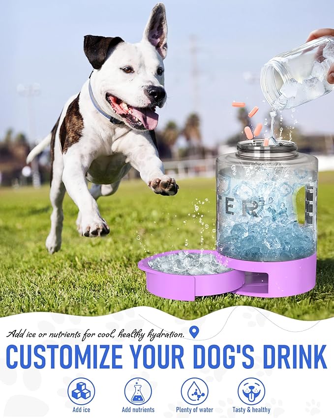 77oz Dog Travel Water Bottle, Large Portable Dog Water Bowl Dispenser, Leakproof Pet Drinking Bottle Dispenser for Hiking Camping Walking Travelling Beach Car Trips, No Spill, BPA Free,Purple-PawvioPets