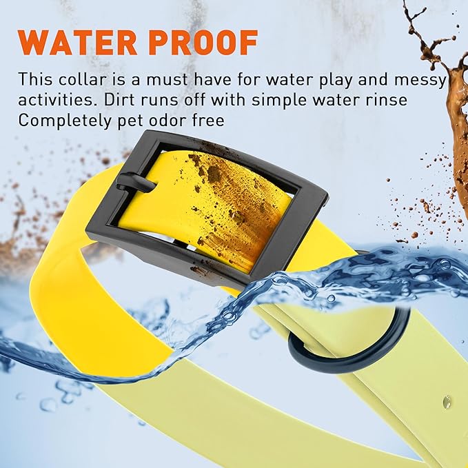 Dogline Biothane Waterproof Dog Collar Strong Coated Nylon Webbing with Black Hardware Odor- Proof for Easy Care Easy to Clean High Performance Fits Small Medium or Large Dogs, Lemon Yellow-PawvioPets