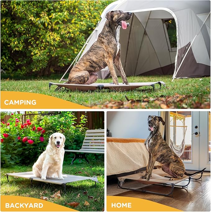 Daisy Cot, XL Foldable Elevated Dog Bed, Portable Raised Outdoor Folding Dog Cot, Cooling, Chew Proof, Waterproof, Heavy Duty Up to 160 lbs for Camping/Home, Brown, 49"x 33"x7"-PawvioPets