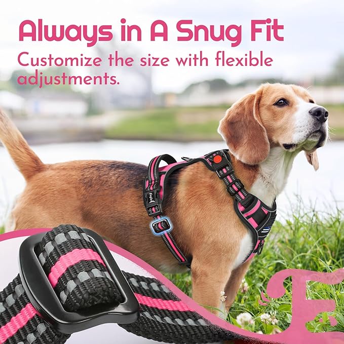 Eagloo Dog Harness Small Sized, Easy Wearing with 3 Buckles, Adjustable No Pull Pet Harness with 2 Rings for Walking, No Chock Reflective Soft Padded Vest with Control Handle, Pink & Black, S-PawvioPets