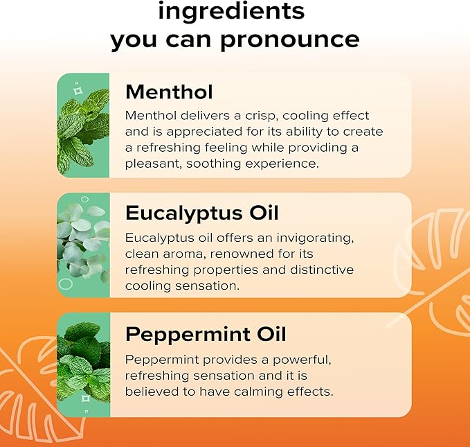 BoomBoom Nasal Stick | Vapor Flow Technology | Cool Refreshing Sensation | Natural Mood Boost | Simple Ingredients | Essential Oils + Menthol Inhaler (Mint, Wintermint, Tropical, Spearmint)-PawvioPets