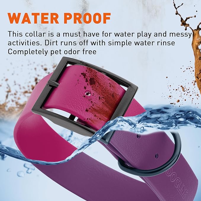 Dogline Biothane Waterproof Dog Collar Strong Coated Nylon Webbing with Black Hardware Odor- Proof for Easy Care Easy to Clean High Performance Fits Small Medium or Large Dogs, Magenta Pink-PawvioPets