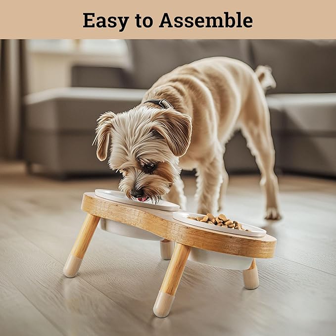Elevated Cat Bowls - Set of 2 Ceramic Pet Food Bowls with Anti-Slip Bamboo Stand - 15 Degree Titled - Raised Dog Bowl for Small Dogs - Raised Cat Bowl Stand - Pet Feeding Station for Cats & Small Dogs-PawvioPets