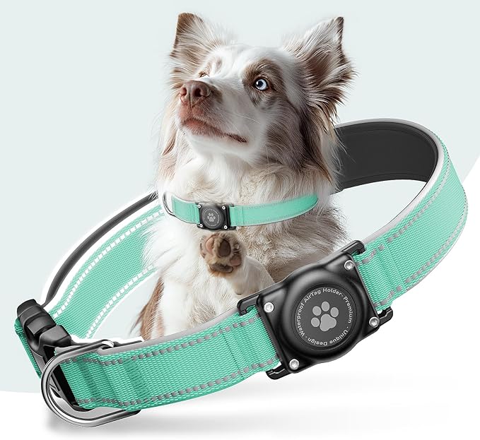 Airtag Dog Collar - 100% Waterproof Air tag Dog Collar Holder for Apple AirTag, Reflective, Soft Padded, Everlasting, GPS Dog Collar for Small Medium Large Dogs (Teal, M)-PawvioPets