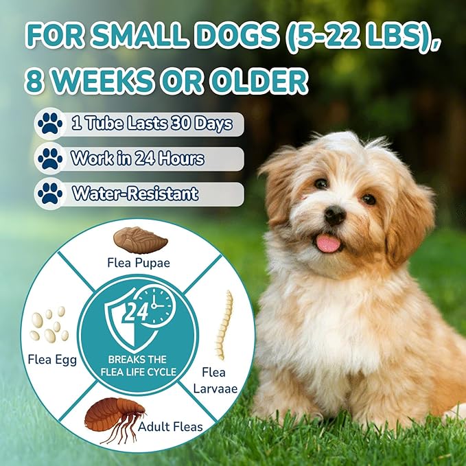 Flea and Tick Prevention for Small Dogs, 6-Month Supply Dog Flea and Tick Treatment Drops, Topical Fast-Acting Dog Flea Treatment for Small Dogs Up to 5 to 22 lbs-PawvioPets