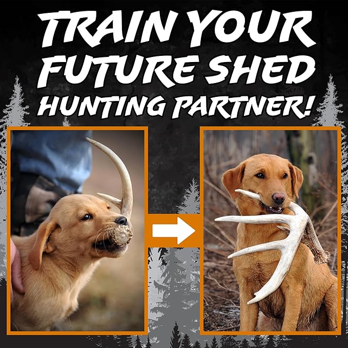 DogBone Shed Hunting Dog Training Kit – Train Your Puppy to Find Deer Antlers - Includes 2 oz Scent for Nosework & Flexible Floating Dummy for Retrieving - Perfect for Whitetail Hunters-PawvioPets