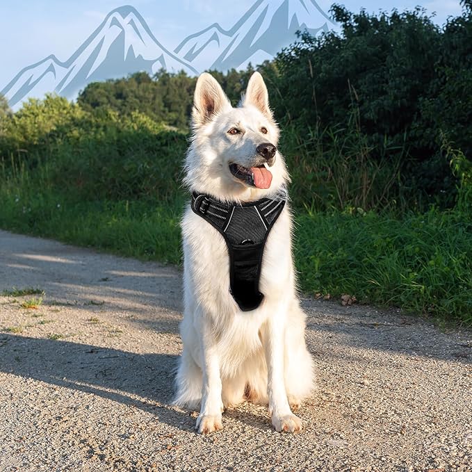 Eagloo Dog Harness for Large Dogs, No Pull Service Vest with Reflective Strips and Control Handle, Adjustable and Comfortable for Walking, No Choke Pet Harness with 2 Metal Rings, Black, XL-PawvioPets